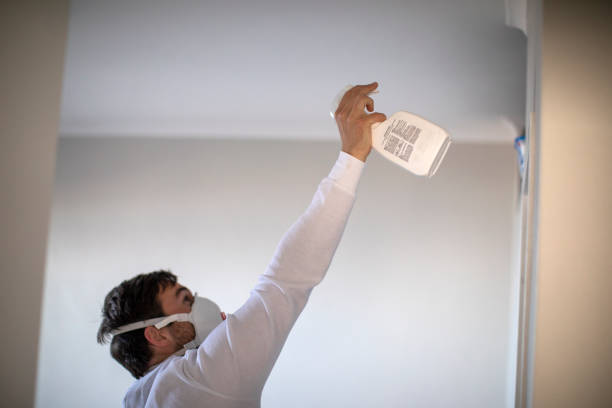 Best Certified Mold Removal  in Blackwell, OK
