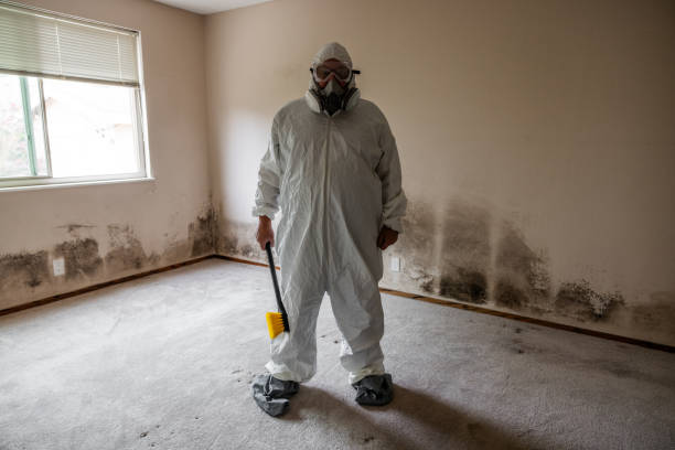 Crawl Space Mold Removal in Blackwell, OK
