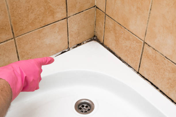 Best Crawl Space Mold Removal  in Blackwell, OK